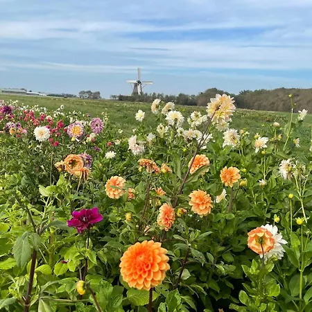 De Dars By Interhome * Stolpen